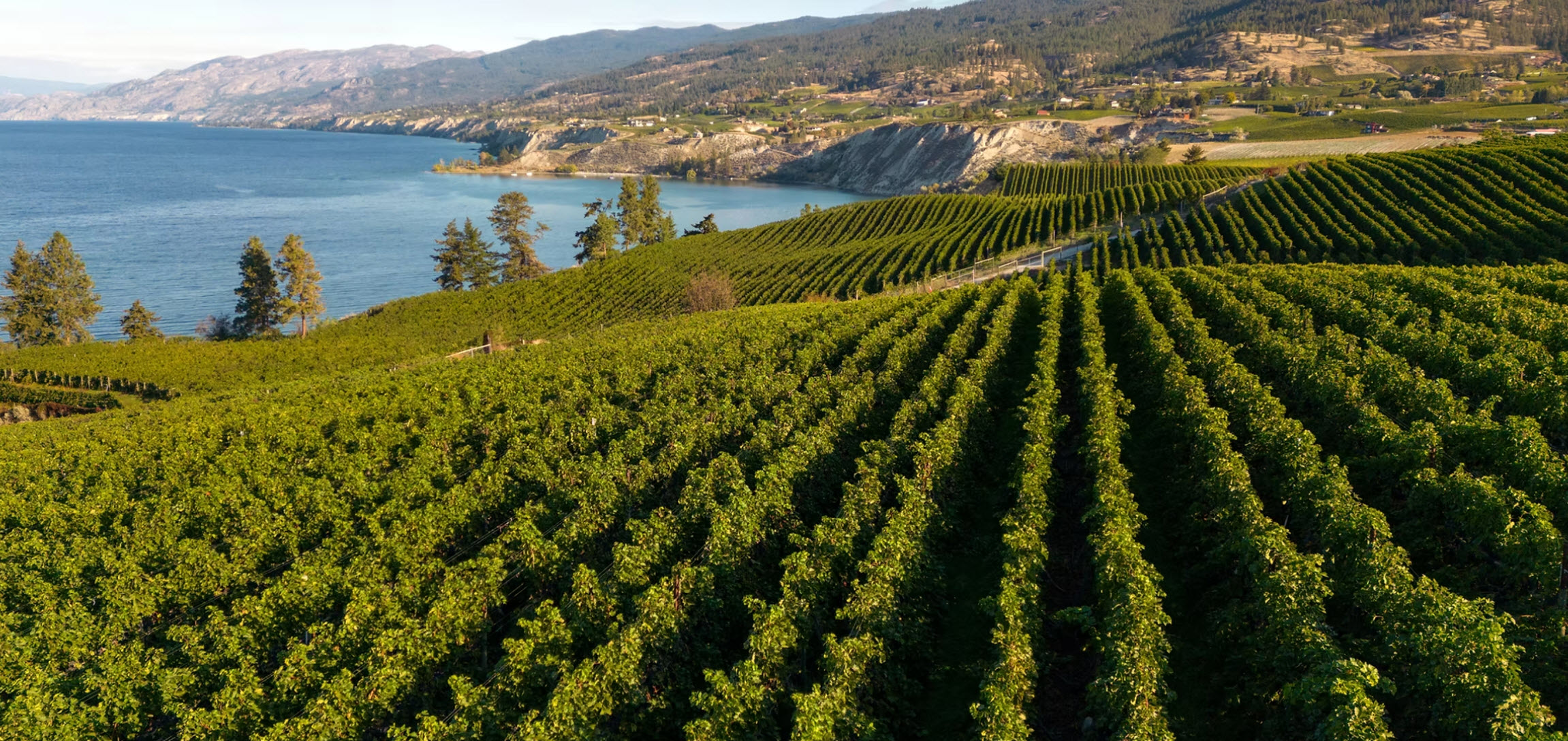 Naramata Bench Wine Tour