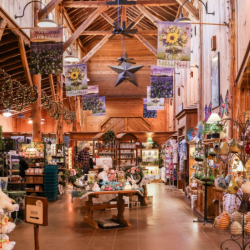 Gift Shop