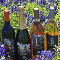 Shop Wine