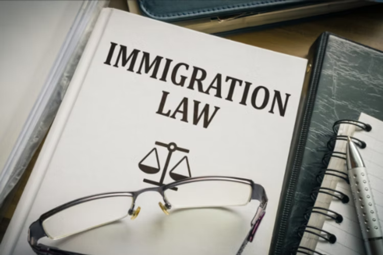 Immigration Services