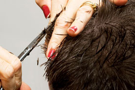 Men's Hair Service