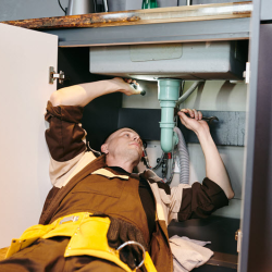 Inspections