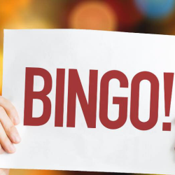 Bingo Night