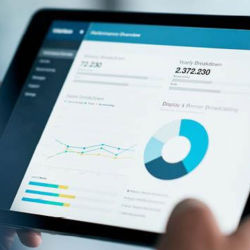 Investment Management