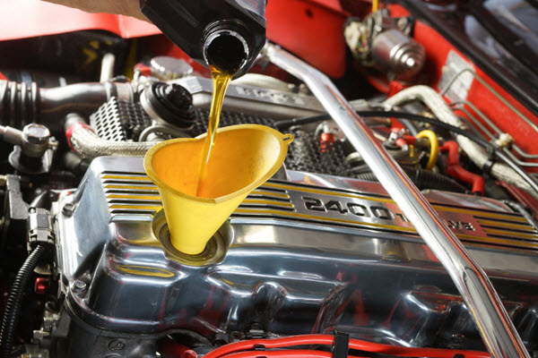 Oil Change & Maintenance