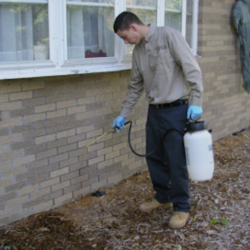 Residential Exterminator
