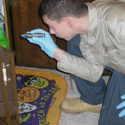 Pest Control