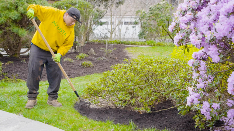 Landscaping