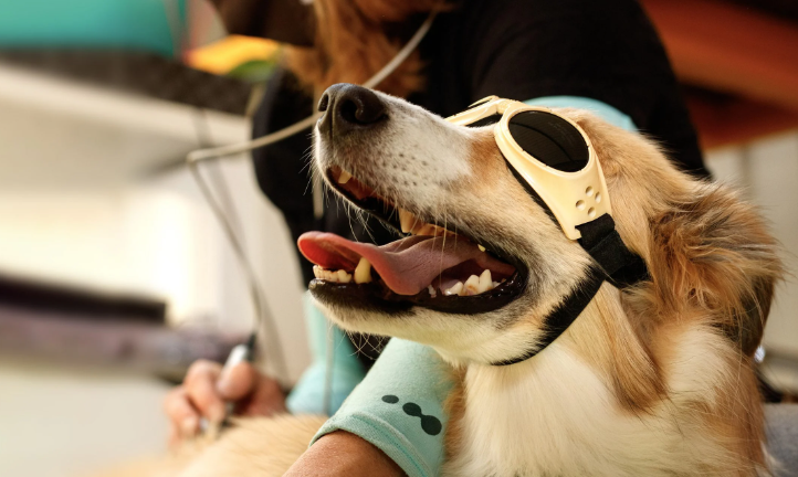 Laser Therapy