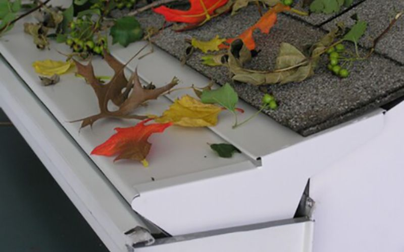 Gutter Protection