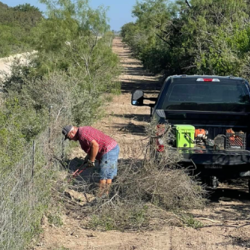 Brush Clearing