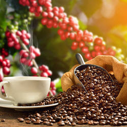 Coffe Beans