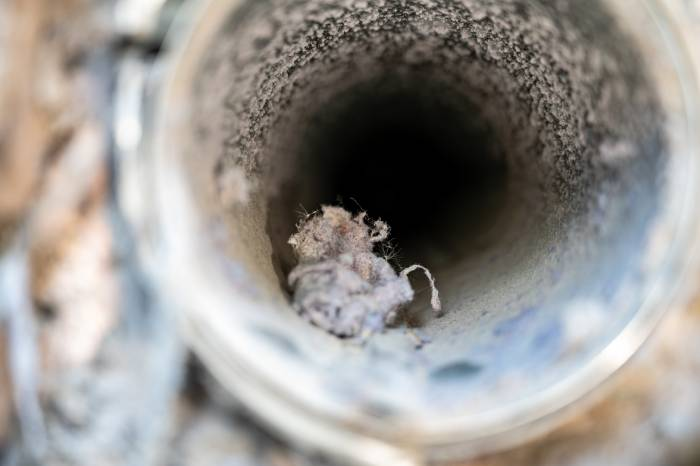 Odor Damage