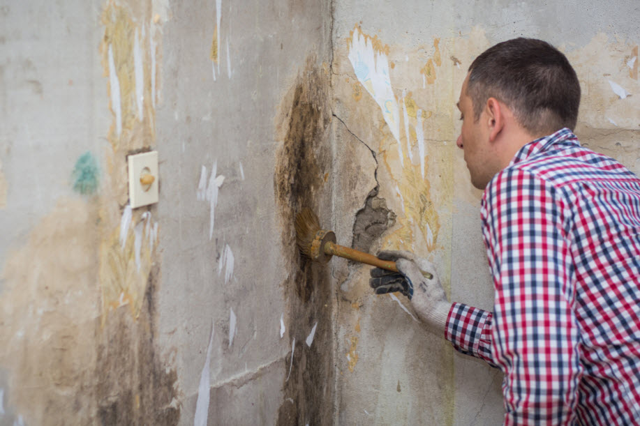 Mold Remediation
