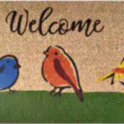 Home Décor & Housewares