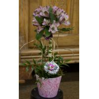 Fresh Floral Arrangements