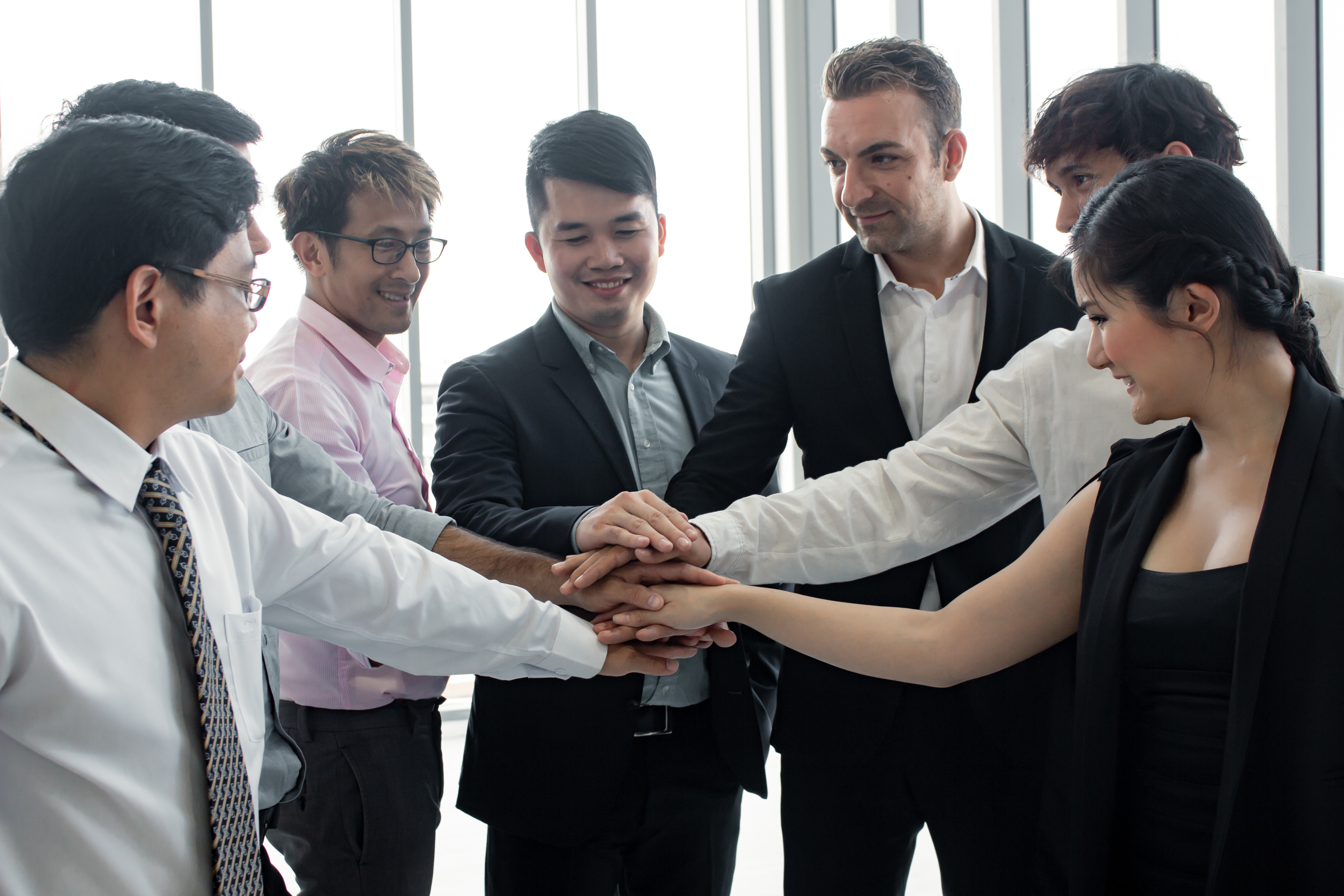Team Performance & Dynamics Development