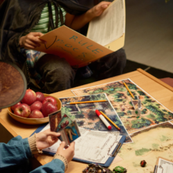 Social Skills Groups