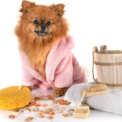 Bath Services