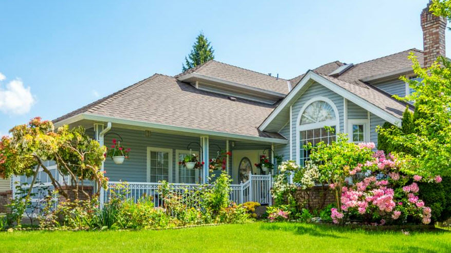 Roof Repair Services