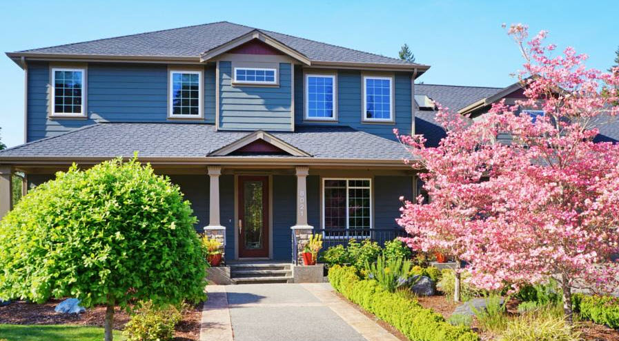 Professional Roof Installation