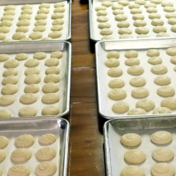 Vanilla Macaroon