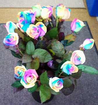 Fresh Floral Arrangements