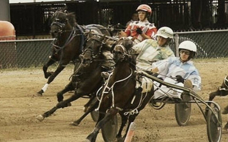 Trottingbred Races