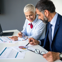 Audit and Conflict Resolution Support
