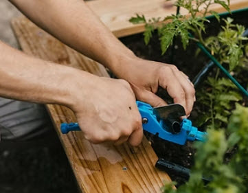 Drip Irrigation