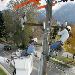 Reliability & Tree Pruning