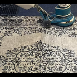 Area Rug Cleaning