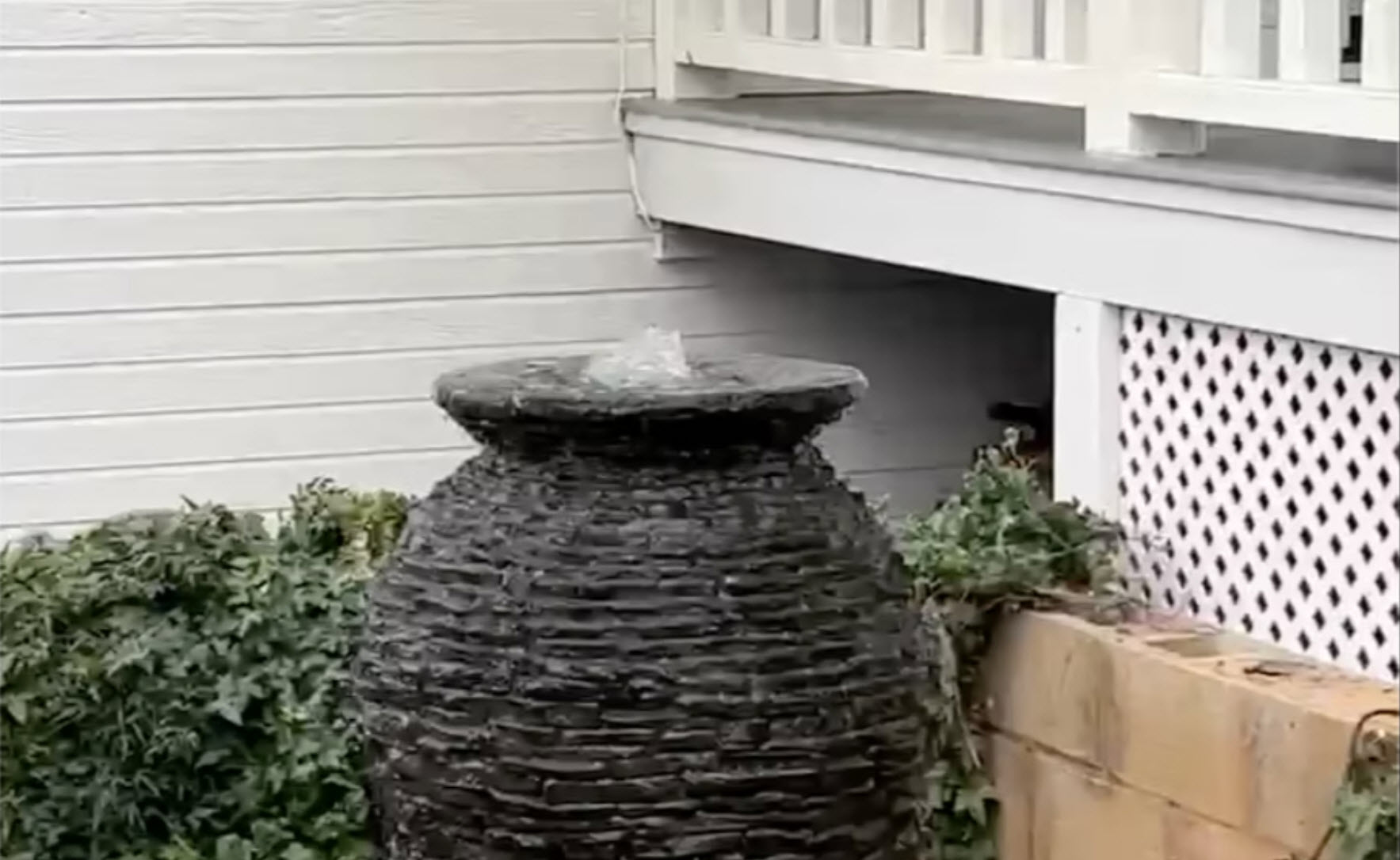 Fountain Consultation