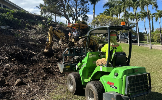 Full-Service Tree Care & Maintenance