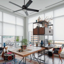 Roller Shades