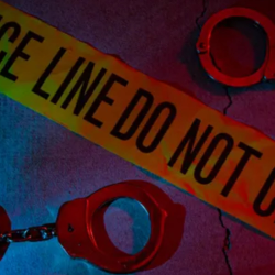 Arrest And Convict Criminals