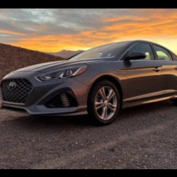 Rental Cars