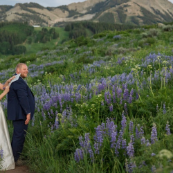 Marriage License