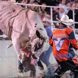 PRCA Xtreme Bulls