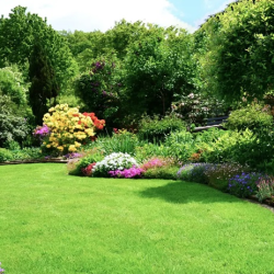 Lawn Fertilization