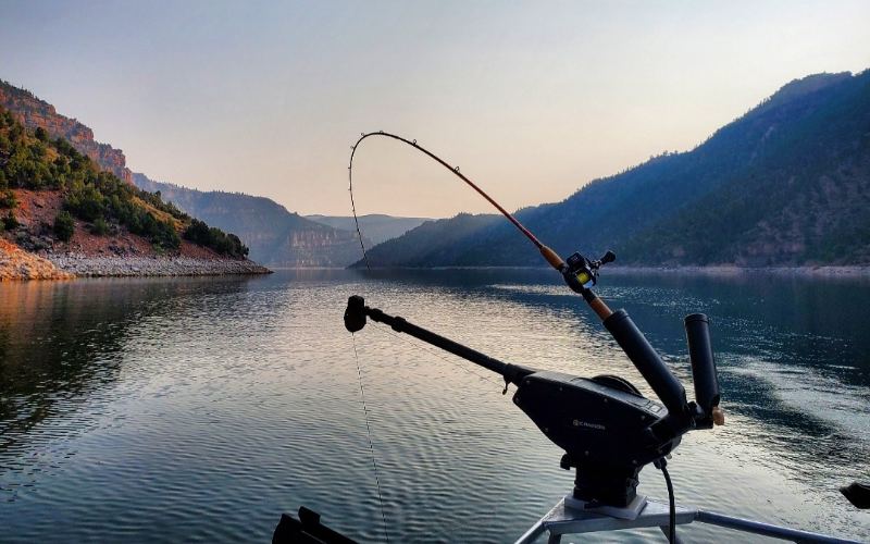 Lake Fishing