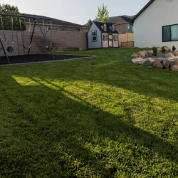Lawn Care