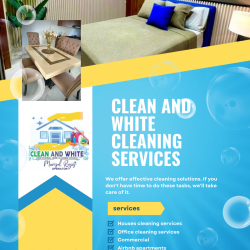 Realtor Cleaning Services
