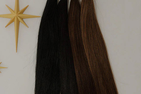 Eclipse Collection