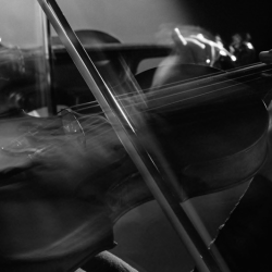 Tucson Adult Chamber Players