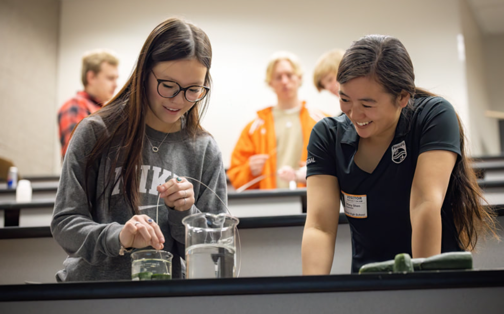 Inspire Grant Program