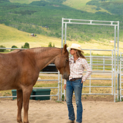 The Equine Gestalt Coaching Method