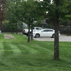 Lawn Care
