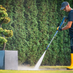 Monumental Cleaning
