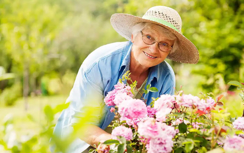 Assisted Living
